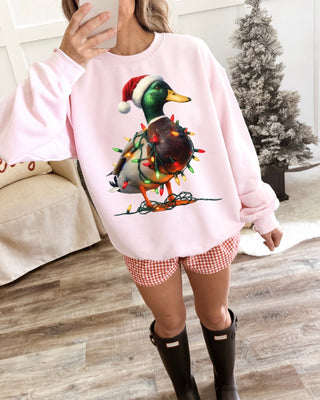 Christmas lights mallard