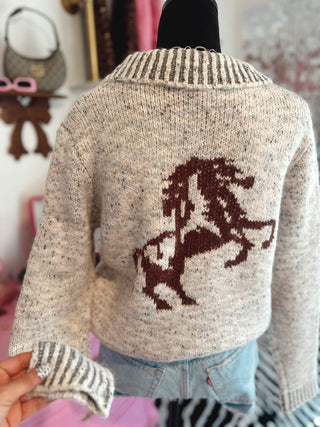 The Rodeo drive sweater zip