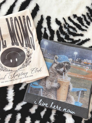 I live here now raccoon baseball field