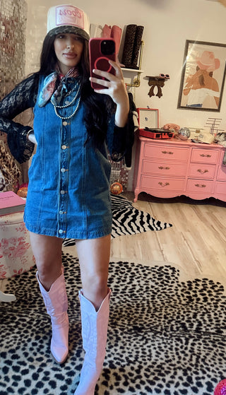 Baby’s Blues Denim Button Down Dress