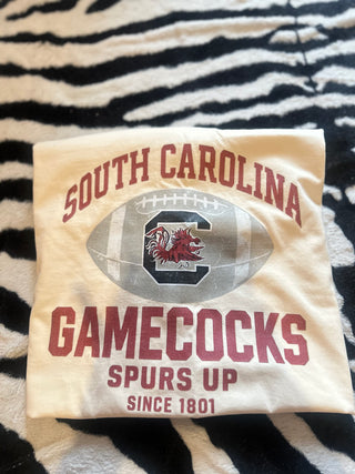 Ready to ship gamecocks 3x tee