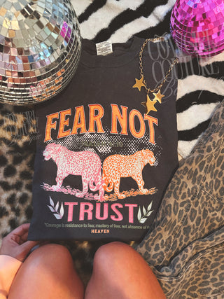 fear not, trust heaven