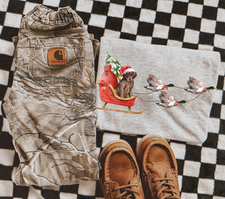 Chocolate lab and mallards Santa’s sleigh| Kids graphic