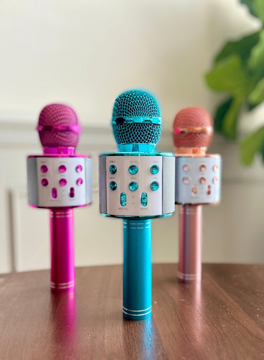 Karaoke Microphone in Assorted Colors